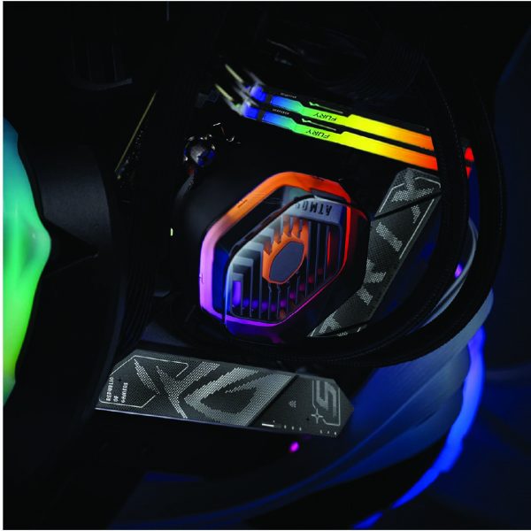 Shark X Gaming PC - Rush Racing Esports